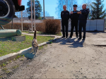 Подмосковные спасатели приняли участие в массовых городских субботниках