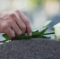 istockphoto.com - MosRegToday.Ru
