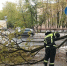 Сотрудники МЧС продолжают устранять последствия непогоды в Подмосковье - Комсомольская Правда
