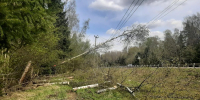 В Подмосковье в рамках работ по восстановлению электроснабжения с ЛЭП сняли 3,9 тыс. деревьев - MosRegToday.Ru
