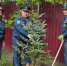В Пушкино сотрудники МЧС приняли участие в акции "Сад памяти" - ГУ МЧС МО