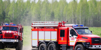Жителям Подмосковья рассказали об опасности выжигания сухой травы - Regions.Ru