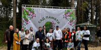 Специалисты Минтранса Подмосковья посадили деревья в акции «Сад памяти» - Regions.Ru