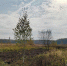 В Подмосковье на земельных торгах возник ажиотаж - Regions.Ru