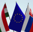 Словакия и Венгрия могли заранее согласовать поддержку санкций ЕС с РФ - РТВ-Подмосковье