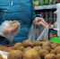 медиасток.рф - MosRegToday.Ru
