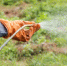 istockphoto.com - MosRegToday.Ru
