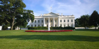 WSJ: Трамп не поддержал предложение ЕС о «безусловном» прекращении огня на Украине - MosRegToday.Ru