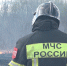 Два лесных пожара ликвидировали в Подмосковье 25 мая - Regions.Ru