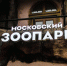 Мужчина бросил таблетки валерианы в клетки к животным Московского зоопарка - Вести Подмосковья