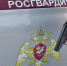 Росгвардейцы задержали эксгибициониста возле детского сада на юге Москвы - Комсомольская Правда