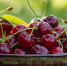 freepik.com - MosRegToday.Ru