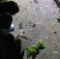 t.me/su_skr26 - MosRegToday.Ru