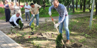 В Луховицах День предпринимателя отметили озеленением парка и праздничным награждением - MosRegToday.Ru