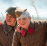медиасток.рф - MosRegToday.Ru