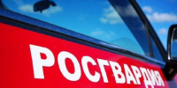 Подмосковные росгвардейцы задержали женщину, убившую свою пятилетнюю дочь - РТВ-Подмосковье