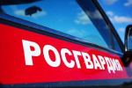 Подмосковные росгвардейцы задержали женщину, убившую свою пятилетнюю дочь