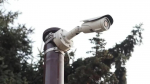 Камеры «Безопасного региона» помогли устранить более 2 тыс. случаев загрязнения на остановках Подмосковья
