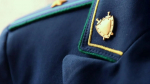 Прокуратура в Люберцах взяла на контроль расследование дела об убийстве молодой девушки