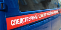 В Химках возбудили дело о покушении на убийство мальчика в аэропорту - Вести Подмосковья