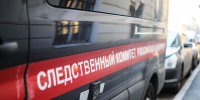 Мужчине предъявлено обвинение в покушении на убийство ребенка в аэропорту Шереметьево - Вести Подмосковья