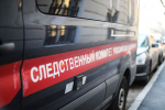 Мужчине предъявлено обвинение в покушении на убийство ребенка в аэропорту Шереметьево