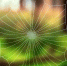 freepik.com - MosRegToday.Ru