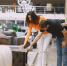 IKEA может вернуться с новой концепцией - Regions.Ru
