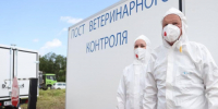 Ветеринары Подмосковья приняли участие в международных учениях по локализации опасных заболеваний - Regions.Ru