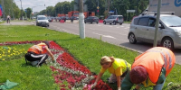 В Подмосковье высадили цветы и обновили контейнеры для отходов - Regions.Ru