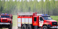 В лесах Подмосковья сохранился умеренный класс пожарной опасности - Regions.Ru