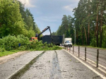 Сотрудники МЧС устраняют последствия ливней и сильного ветра в Подмосковье