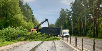 Вышка сотовой связи рухнула на дорогу во время непогоды в Подмосковье - Комсомольская Правда