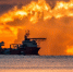 Хуситы потопили греческое судно в Красном море - MosRegToday.Ru
