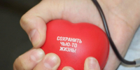 Звание «Почетный донор России» с начала года получили 307 жителей Подмосковья - Regions.Ru