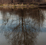 Счетная палата РФ проверила, кто и как платит за перекрытые берега в Пермском крае - MosRegToday.Ru