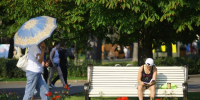 Жара вернется в Подмосковье днем в четверг - Regions.Ru