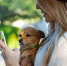 freepik.com - MosRegToday.Ru