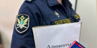 После ареста иномарки в Подмосковье должник погасил задолженность по алиментным платежам - Вести Подмосковья