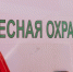 На выходных в Подмосковье ожидается повышение класса пожарной опасности в лесах - Regions.Ru