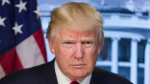 Трамп разочарован Путиным и готов сократить срок для мирного соглашения на Украине