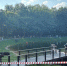 Подросток утонул в запрещенном для купания водоеме в Москве - Комсомольская Правда