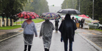 В Подмосковье ожидается дождь с грозой и +25 градусов - Вести Подмосковья