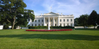 Трамп готовит звонок Путину? Госсекретарь США сделал интригующее заявление - MosRegToday.Ru