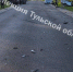 ВАЗ и легковушка устроили смертельное ДТП на трассе - MosRegToday.Ru