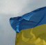 Пикетирующие Путина на Аляске «заукраинцы» не смогли правильно нарисовать флаг Украины - MosRegToday.Ru