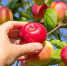 istockphoto.com - MosRegToday.Ru