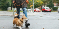 istockphoto.com - MosRegToday.Ru