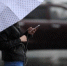 Дождь в Москве - Правительство Московской области