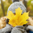 Лето отключат в этот день: синоптик назвал точную дату резкого похолодания в Подмосковье - Regions.Ru